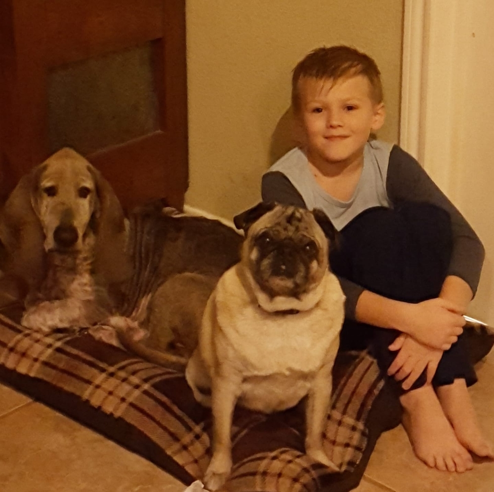 Meet your Posher, Mollie